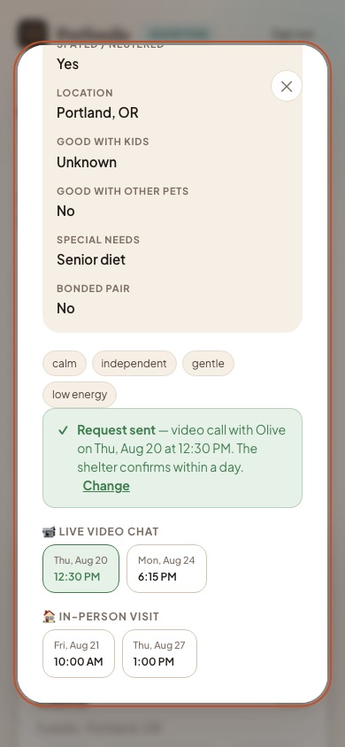 A video call booked with the matched cat, confirmed in the app.